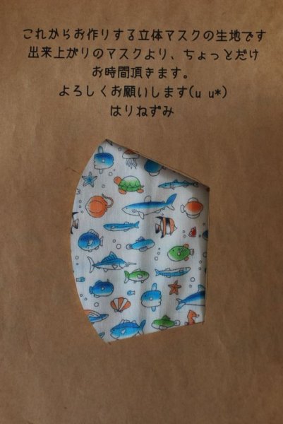 画像1: 立体マスク【海のお魚】 (1)