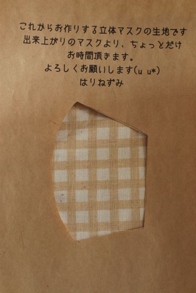 画像1: 立体マスク【チェック・カフェオレ】 (1)