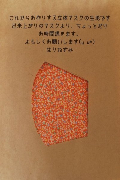 画像1: 立体マスク【ミモザ・オレンジ】 (1)