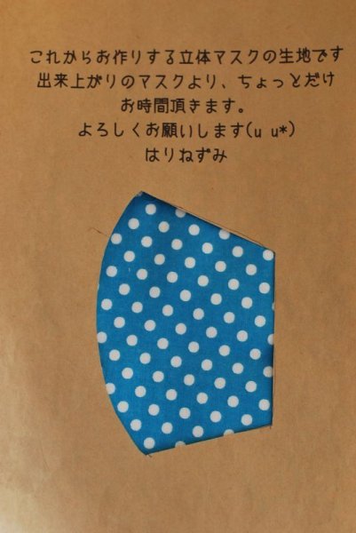 画像1: 立体マスク【マリメッコ風フラワー:ブルー】 (1)
