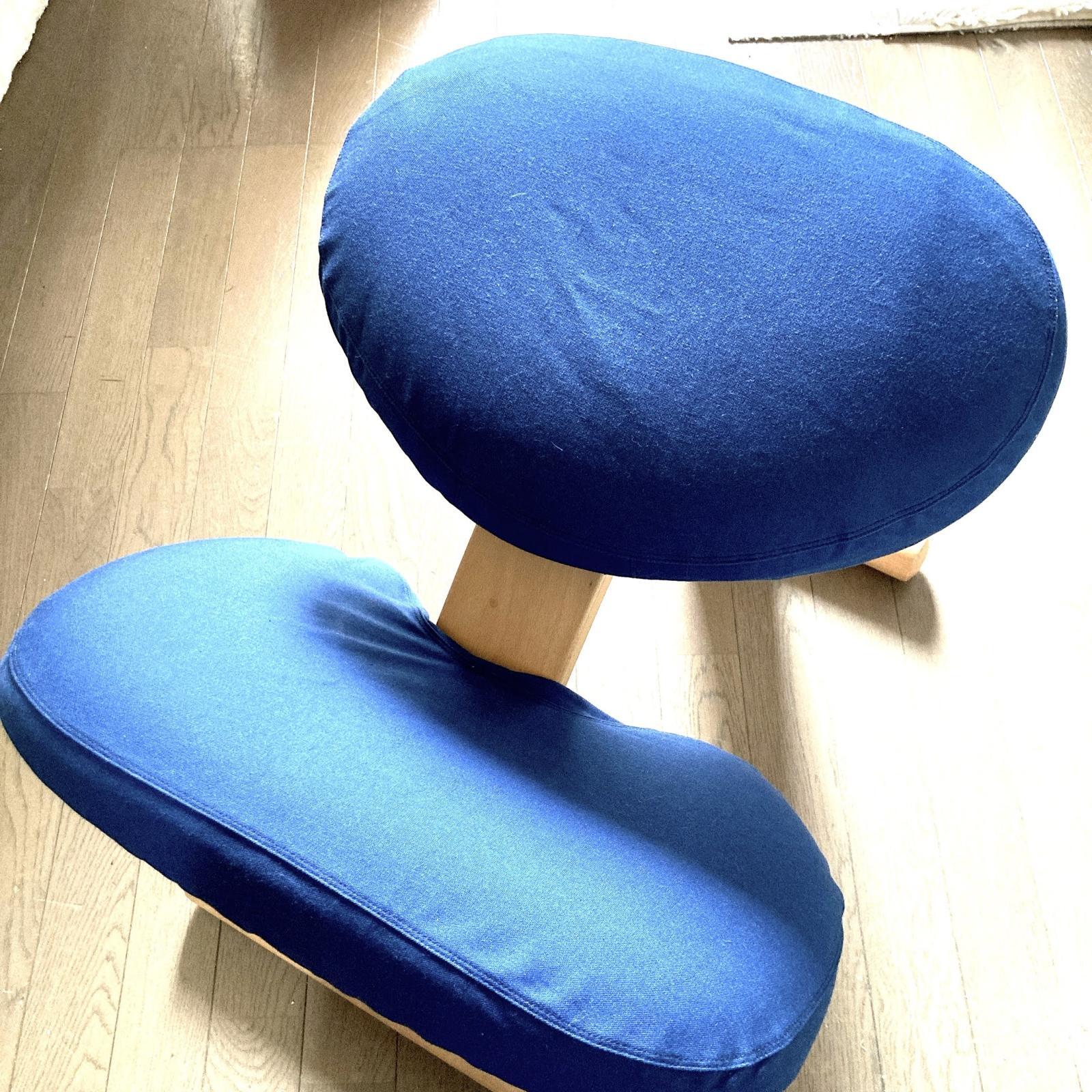 【受注製作オーダーカート】バランスチェアカバー：シンプルカラー【普通生地】